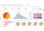 design professional tableau dashboards and data visualization reports
